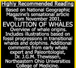 The Evolution of Whales