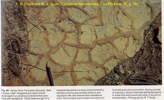 Green River Eocene Disciccation Cracks