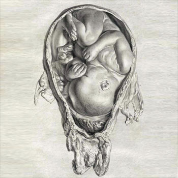 female pelvis narrow in childbirth