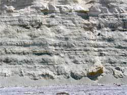 Del Mar Formation