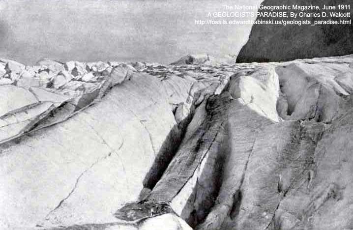 Glacier Mount Robson
